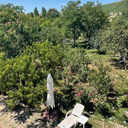 City Garden Escape Popesti-Leordeni Екстериор снимка